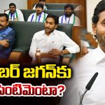 AP Assembly: ఏపీ అసెంబ్లీలో 11 నిమిషాల డ్రామా.. జగన్‌తో సహా ఆ11 మంది వైసీపీ సభ్యుల వాకౌట్