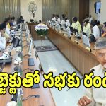 CM Chandrababu Naidu: అసెంబ్లీలో ‘ఆవు కథలు’ చెప్పొద్దు.. సబ్జెక్టుతో రండి: సీఎం చంద్రబాబు