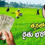 Rythu Bharosa: తెలంగాణ రైతులకు గుడ్ న్యూస్.. త్వరలో రైతుభరోసా విడుదల