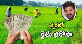 Revenge Drama OTT : చెల్లి చావుకు అక్క రివేంజ్...  ఒక్కో ట్విస్ట్ కి ఫ్యూజులు అవుట్