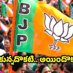 Telangana Municipal Elections: మున్సి పోరులో కమలం ఢీలా.. జాతీయ నేతల ప్రచారం పనిచేయలేదా?