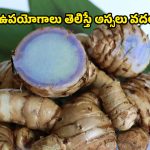 blue turmeric: అసలు ఏంటి ఈ బ్లూ టర్మరిక్? మనకు తెలిసిన పసుపు కంటే ఇది భిన్నమైందా?