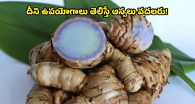 Kavitha Demands: త్వరలో బడ్జెట్ సమావేశాలు.. సీఎం రేవంత్‌కు కవిత సవాల్.. మా డిమాండ్లు నెరవేర్చకపోతే..!