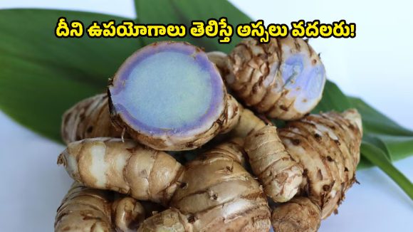 blue turmeric: అసలు ఏంటి ఈ బ్లూ టర్మరిక్? మనకు తెలిసిన పసుపు కంటే ఇది భిన్నమైందా?