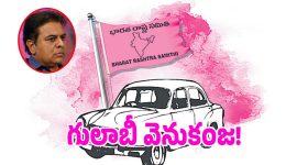BRS Party: బీఆర్ఎస్‌కు కోలుకోలేని దెబ్బ.. మున్సిపల్‌ ఎన్నికల్లో చేతులెత్తేసిన గులాబీ నాయకులు