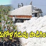 CCI: రైతులకు బిగ్ అలర్ట్.. పత్తి కొనుగోళ్ల గడువును పొడిగించిన సీసీఐ..!