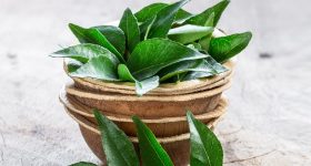 Hair care: కరివేపాకులను ఇలా వాడారంటే జుట్టు పెరగడమే కాదు చుండ్రు కూడా పోతుంది