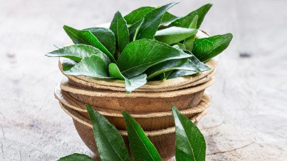 Hair care: కరివేపాకులను ఇలా వాడారంటే జుట్టు పెరగడమే కాదు చుండ్రు కూడా పోతుంది