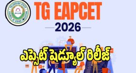 Anupama Parameshwaran : అనుపమ అప్కమింగ్ మూవీ అనౌన్స్మెంట్... ఈసారి సైకలాజికల్ థ్రిల్లర్