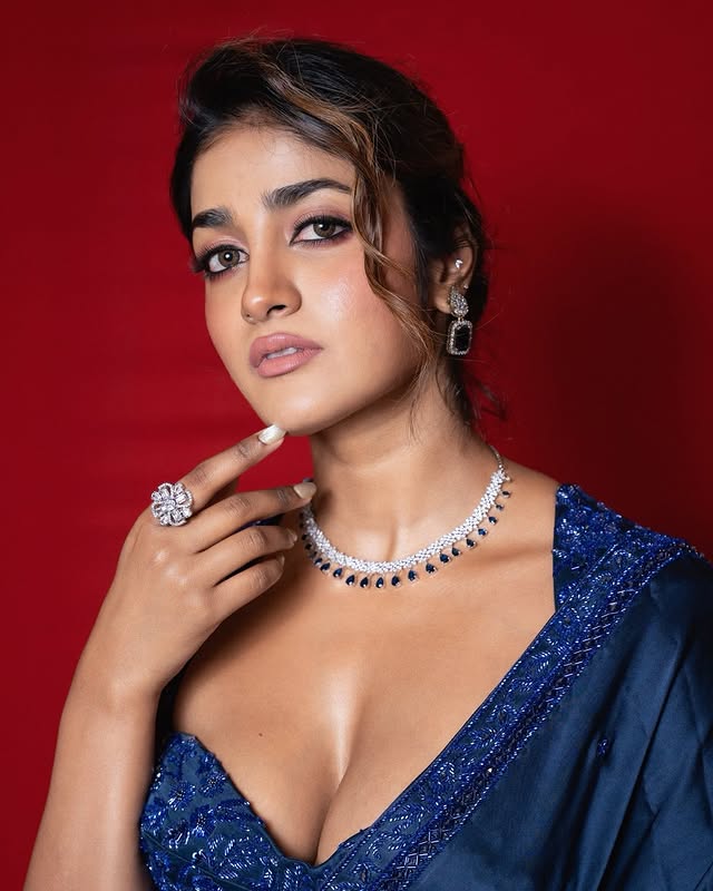 Dimple Hayathi Photo Gallery