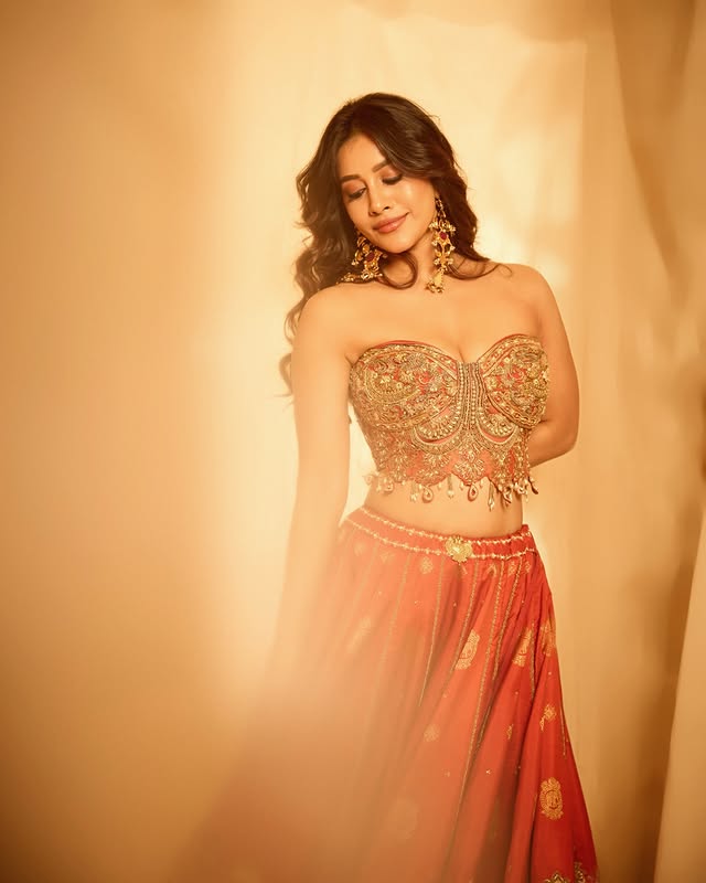 Nabha Natesh ( Source /Instagram) Nabha Natesh Photo Gallery