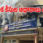 Nampally FSL Fire: ఎఫ్​ఎస్ఎల్‌ అగ్నిప్రమాదంలో.. కీలక కేసుల్లోని ఆధారాలు దగ్ధం..?