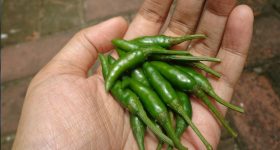 CIBIL Score: నెల రోజుల్లో సిబిల్ స్కోర్ ఇలా సింపుల్ గా పెంచేయండి, లోన్ త్వరగా వచ్చేస్తుంది