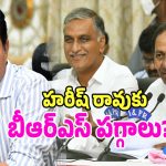 BRS Party: గులాబీ పార్టీలో బిగ్ ట్విస్ట్.. త్వరలో హరీష్ రావుకు బీఆర్ఎస్ పగ్గాలు.. మరి కేటీఆర్..?
