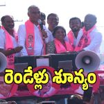 Harish Rao: మున్సిపల్ ఎన్నికల ప్రచారంలో ప్రభుత్వంపై హరీష్ రావు సెటైర్లు.. ఏమన్నారంటే..!