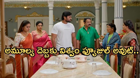 Illu Illalu Pillalu Today Episode: విశ్వం పై అమూల్య రివేంజ్.. వల్లికి, విశ్వంకు మైండ్ బ్లాక్.. సాగర్ దొరికిపోతాడా..?