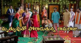 Illu  Illalu Pillalu Today Episode: అమూల్య ను కొట్టిన వేదవతి.. రామరాజకు హార్ట్ అటాక్.. విశ్వంకు దిమ్మతిరిగే షాక్..