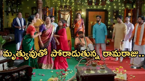 Illu  Illalu Pillalu Today Episode: అమూల్య ను కొట్టిన వేదవతి.. రామరాజకు హార్ట్ అటాక్.. విశ్వంకు దిమ్మతిరిగే షాక్..