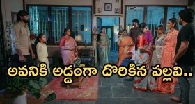 Intinti Ramayanam Today Episode: తండ్రి కోసం కొడుకులు ప్రయత్నాలు.. రాజేంద్రను చంపేందుకు ప్లాన్..పల్లవి పై అవనికి అనుమానం..