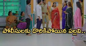 Intinti Ramayanam Today Episode: పల్లవిపై అభికి అనుమానం.. అవని ఎంక్వయిరీ పూర్తి.. భానుమతి పై కమల్ సీరియస్..