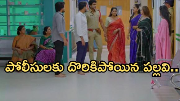 Intinti Ramayanam Today Episode: పల్లవిపై అభికి అనుమానం.. అవని ఎంక్వయిరీ పూర్తి.. భానుమతి పై కమల్ సీరియస్..