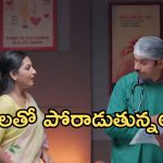Intinti Ramayanam Today Episode: అక్షయ్ కు నిజం చెప్పిన అవని..క్రిటికల్ గా అభి పరిస్థితి.. నిజాలు బయటకొస్తాయా..?