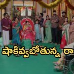Intinti Ramayanam Today Episode: రాజేంద్రను చూసి కన్నీళ్లు పెట్టుకున్న అవని.. పల్లవి కన్నింగ్ ప్లాన్.. గ్రాండ్ గా శ్రీయ సీమంతం..