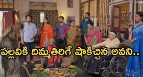 Intinti Ramayanam Today Episode: పల్లవికి మైండ్ బ్లాక్.. పల్లవి దెయ్యం డ్రామా సక్సెస్.. అవనికి పల్లవి పై అనుమానం..