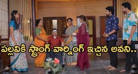 Intinti Ramayanam Today Episode: అక్షయ్ కు నిజం చెప్పిన అవని..దొంగగా మారిన పల్లవి.. లాయర్ ఎంట్రీతో దిమ్మతిరిగే షాక్..