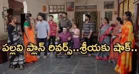 Intinti Ramayanam Today Episode: శ్రీయకు స్ట్రాంగ్ వార్నింగ్..పల్లవికి దిమ్మతిరిగే షాక్.. జైలు నుంచి చక్రధర్ రిలీజ్..?