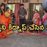 Intinti Ramayanam Today Episode: పల్లవి చెక్ పెట్టబోతున్న అభి.. అవనికి అవమానం.. జైలు నుంచి చక్రధర్ రిలీజ్..