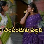 Intinti Ramayanam Today Episode: అవనిపై పల్లవి రివేంజ్.. చక్రధర్ మాస్టర్ ప్లాన్.. స్టోరీలో ఊహించని ట్విస్ట్..