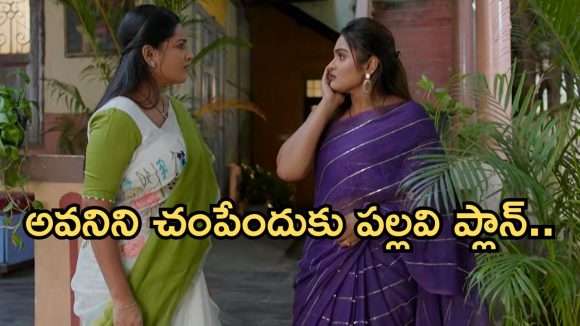 Intinti Ramayanam Today Episode: అవనిపై పల్లవి రివేంజ్.. చక్రధర్ మాస్టర్ ప్లాన్.. స్టోరీలో ఊహించని ట్విస్ట్..