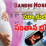 Gandhi Hospital IVF: సర్కారీ ఆసుపత్రుల్లో సంతాన భరోసా.. నమ్మకంతో క్యూకడుతున్న జనం
