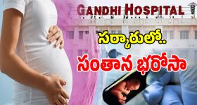 Gandhi Hospital IVF: సర్కారీ ఆసుపత్రుల్లో సంతాన భరోసా.. నమ్మకంతో క్యూకడుతున్న జనం