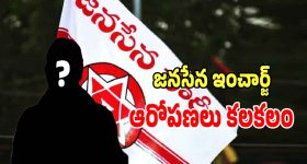 Gopalapuram Politics: గోపాలపురంలో కలకలం రేపుతున్న జనసేన ఇంచార్జ్ ఆరోపణలు