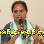 Kalvakuntla Kavitha: కాంగ్రెస్ తప్పులను ఎత్తిచూపడంలో.. బీఆర్ఎస్ అట్టర్ ఫ్లాప్..?