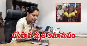 Priyanka Chopra : బ్యాక్ లెస్ లుక్ లో ప్రియాంక.. డ్రెస్ ధర తెలిస్తే అవాక్కే..!