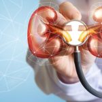 High BP and Kidney Failure: కిడ్నీలు సురక్షితంగా ఉండాలంటే.. రక్తపోటును అదుపులో ఉంచుకోవాల్సిందే!