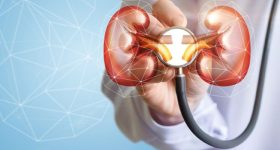 High BP and Kidney Failure: కిడ్నీలు సురక్షితంగా ఉండాలంటే.. రక్తపోటును అదుపులో ఉంచుకోవాల్సిందే!