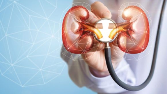 High BP and Kidney Failure: కిడ్నీలు సురక్షితంగా ఉండాలంటే.. రక్తపోటును అదుపులో ఉంచుకోవాల్సిందే!