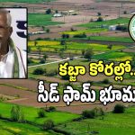 Seed Farms Land: రాష్ట్రంలో కబ్జాల పాలైతున్న సీడ్ ఫాం భూములు.. త్వరలో ప్రభుత్వానికి పూర్తి నివేదిక..!