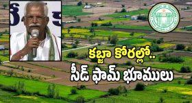 Seed Farms Land: రాష్ట్రంలో కబ్జాల పాలైతున్న సీడ్ ఫాం భూములు.. త్వరలో ప్రభుత్వానికి పూర్తి నివేదిక..!
