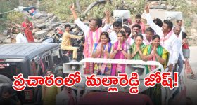 Anna Lezhneva: వరంగల్ భద్రకాళి క్షేత్రంలో అన్నా లెజినోవా పూజలు.. ఎందుకంటే?