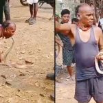 King Cobra viral video: నోట్లో నాగపాము.. చేతులతో కాకుండా నోటితో పట్టుకుని అతి చేశాడు, చివరికి..
