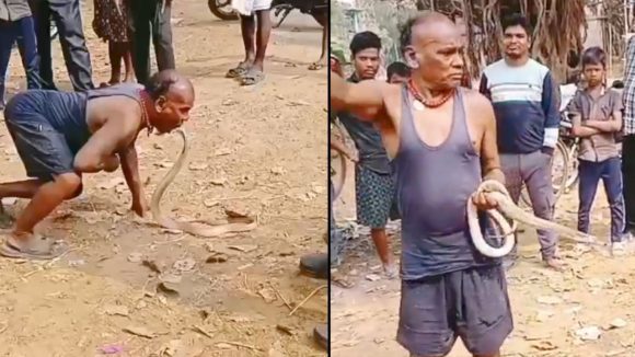 King Cobra viral video: నోట్లో నాగపాము.. చేతులతో కాకుండా నోటితో పట్టుకుని అతి చేశాడు, చివరికి..