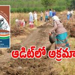 MGNREGS: ఉపాధి హమీ పథకం ఆడిట్‌లో వెలుగులోకి సంచలనాలు.. 20 వేల మందికి జరిమానా..!