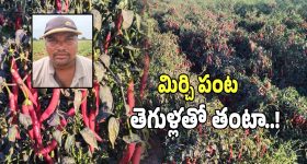 Isuzu V-Cross 2026: క్రేజీ ఇసుజు D-Max V-క్రాస్ వచ్చేసింది, ఫీచర్లు అదుర్స్ అంతే!