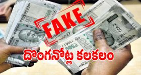 Taapsee Pannu: తనకు ఇంకా బతకాలనుందంటూ తాప్సీ వైరల్ కామెంట్.. ఏం జరిగిందంటే?