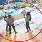 Kamareddy Theft Case: దొంగతనంలోనూ ఫాస్ట్ ట్రాక్.. తాళంతో కుస్తీ వద్దు.. బీరువానే ముద్దు అనుకున్న వింత దొంగలు!